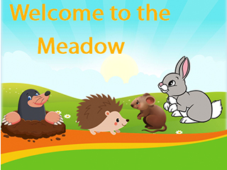 Meadow 2023-2024